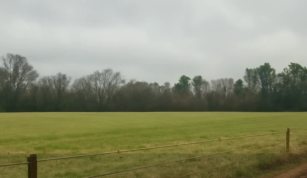 Alabama Land Buyers: How to Sell Land Fast for Cash closing checklist