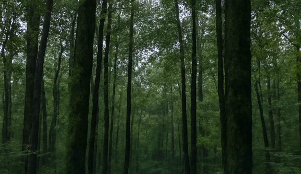 How to Sell Land Without Clear Title in Alabama closing checklist