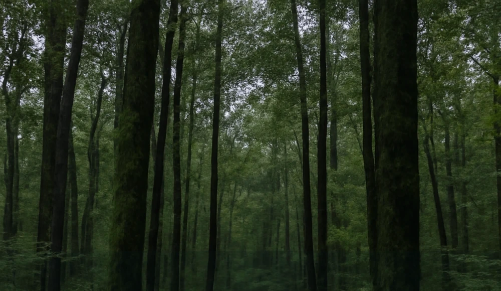 Legal Documents for Selling Land in Alabama land guide