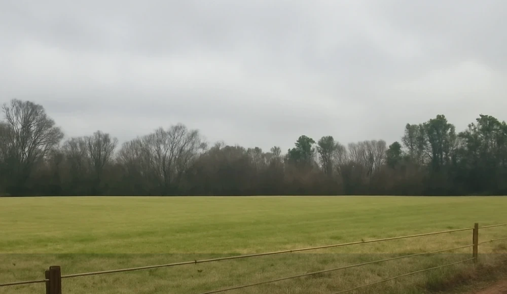 Legal Documents for Selling Land in Alabama land sale review