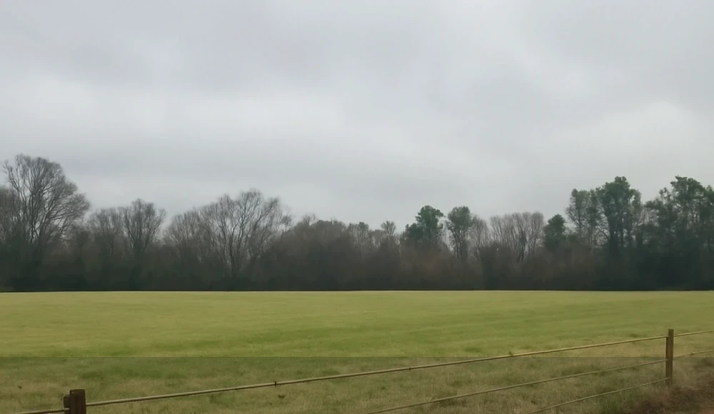Selling Land to a Developer in Alabama land guide
