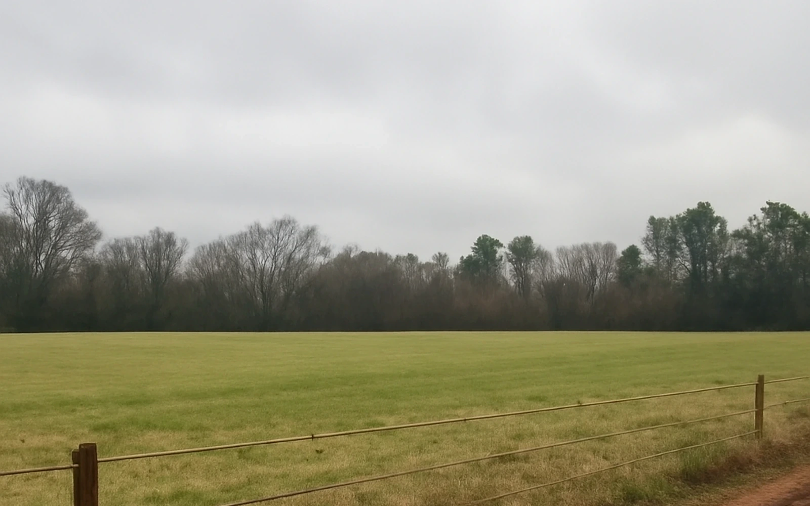 Rural acreage in Tuscaloosa