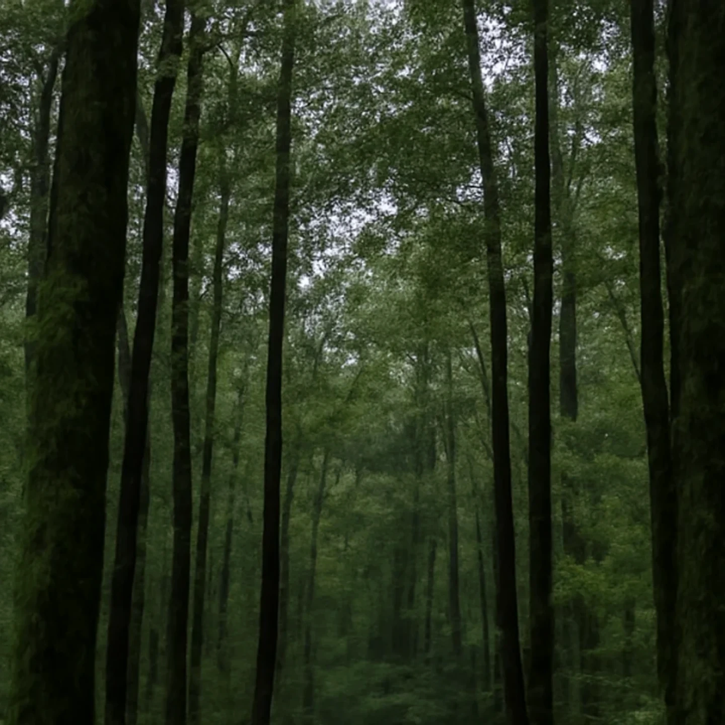 Montgomery vacant land, wooded acreage, and rural parcels in Alabama
