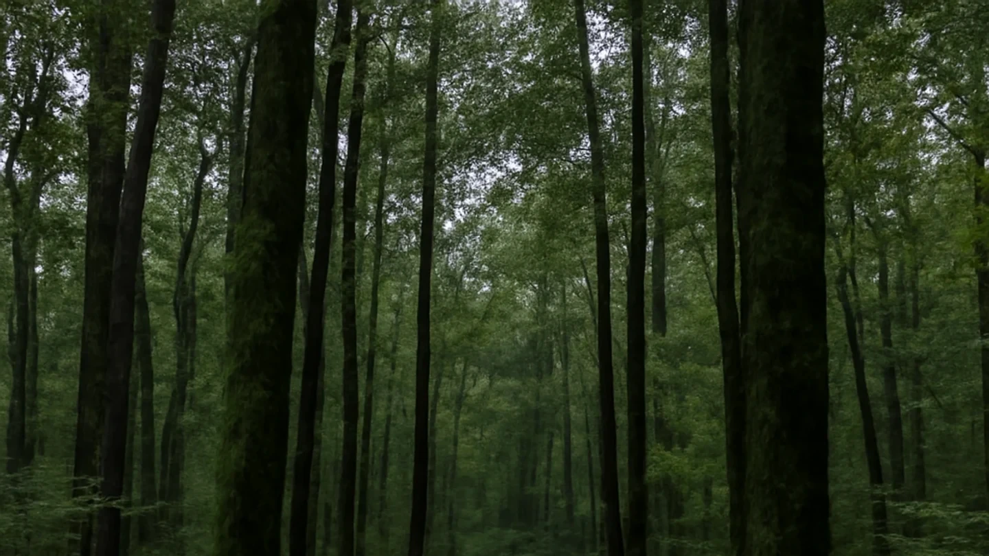 Morgan County vacant land, wooded acreage, and rural parcels in Alabama